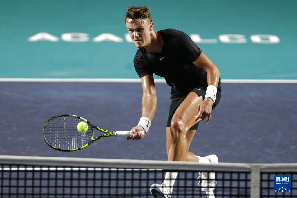 体过度解读 体过度解读