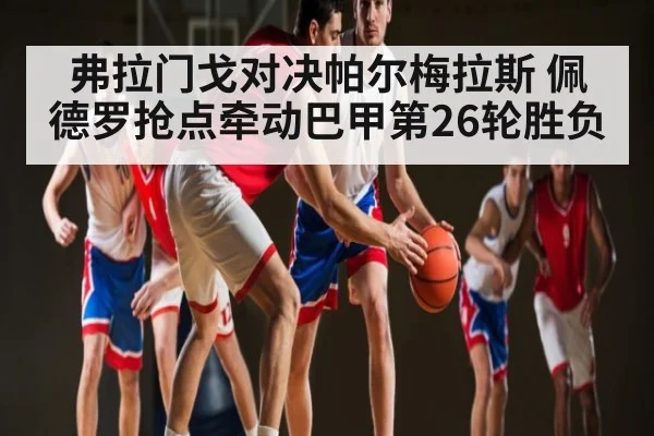 弗拉门戈对决帕尔梅拉斯 佩德罗抢点牵动巴甲第26轮胜负